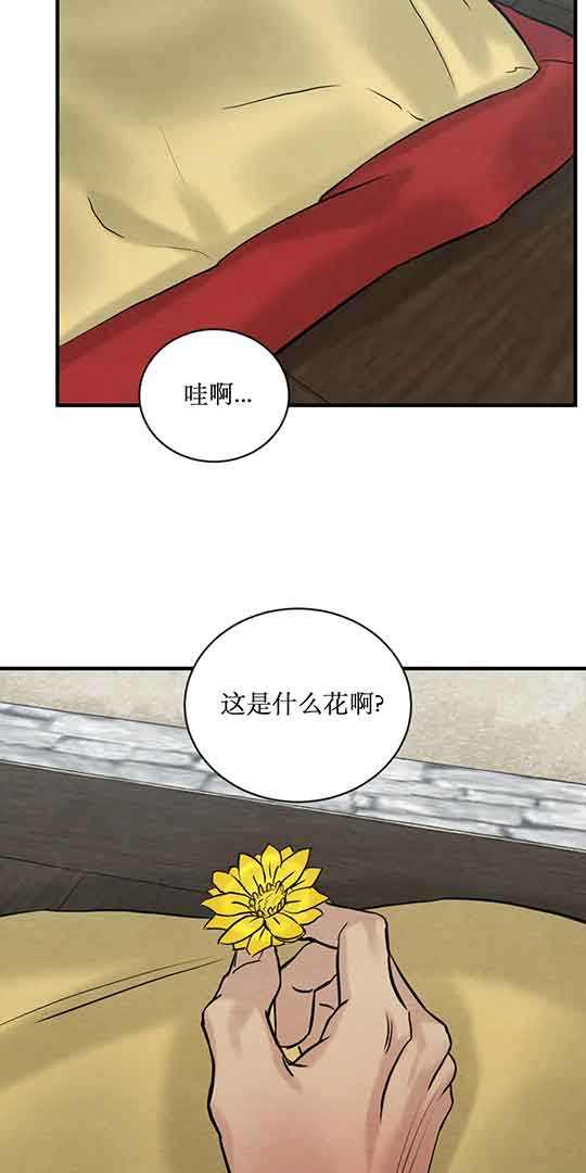 第215话26