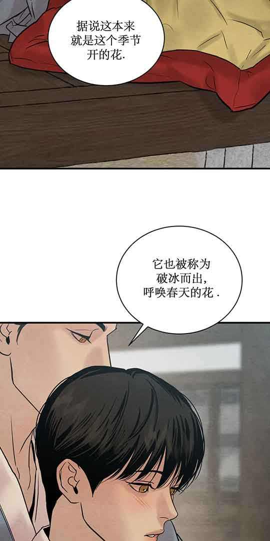 第215话28