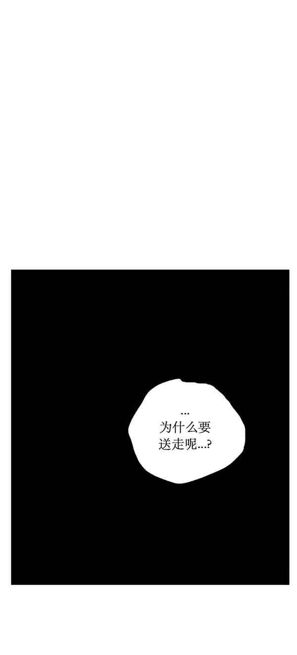 第218话12