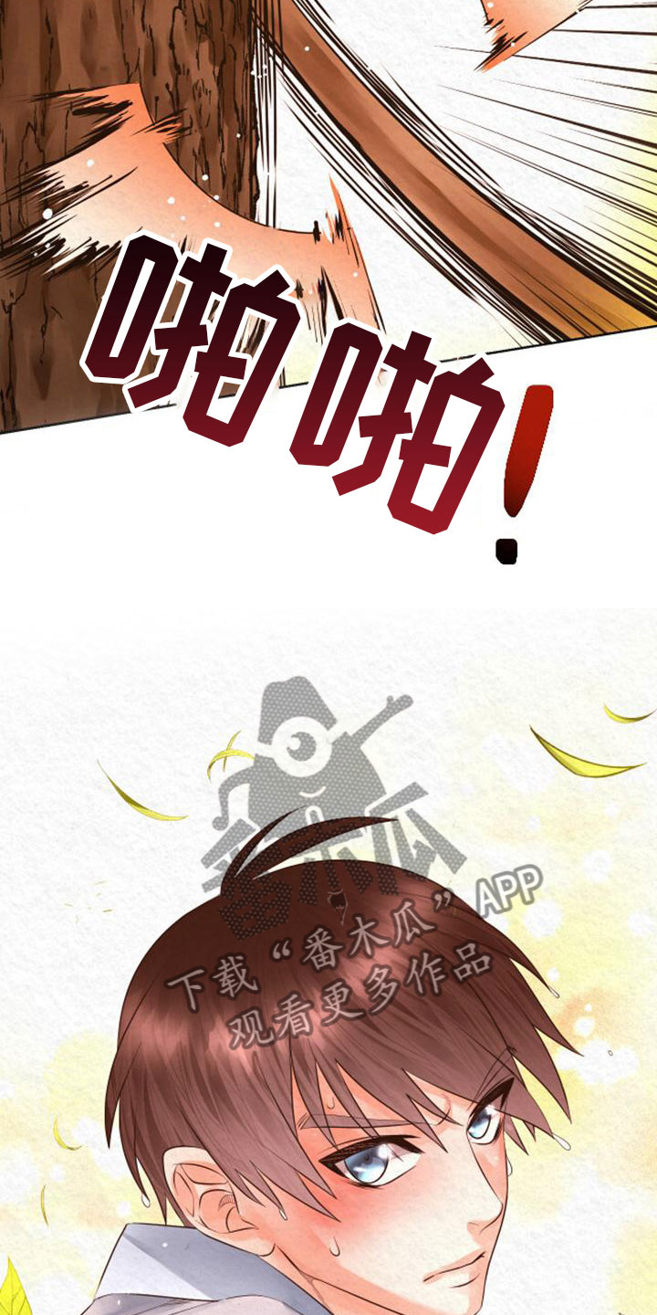 第17章：练武16