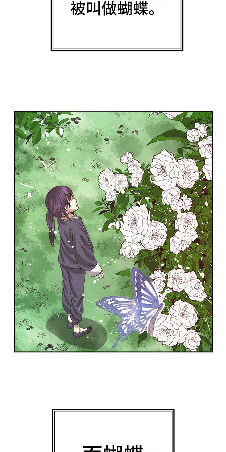 第7章：花与蝴蝶16