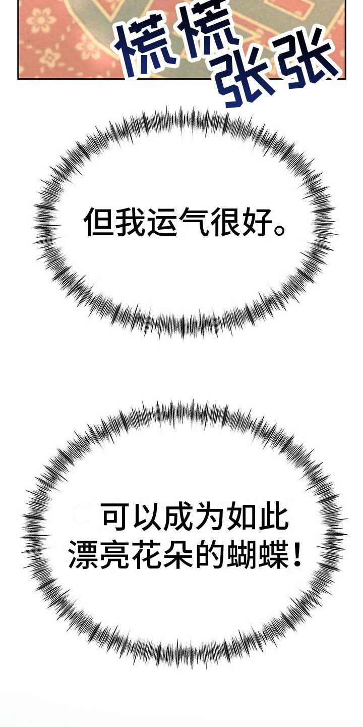 第3章：他的蝴蝶14