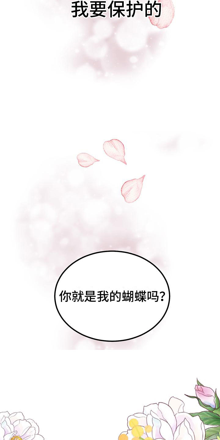 第3章：他的蝴蝶5