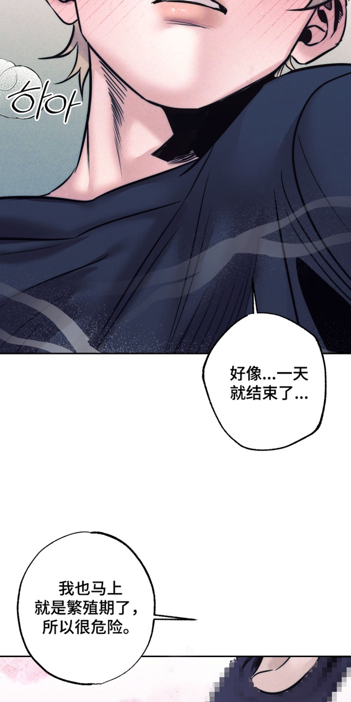 第112话31