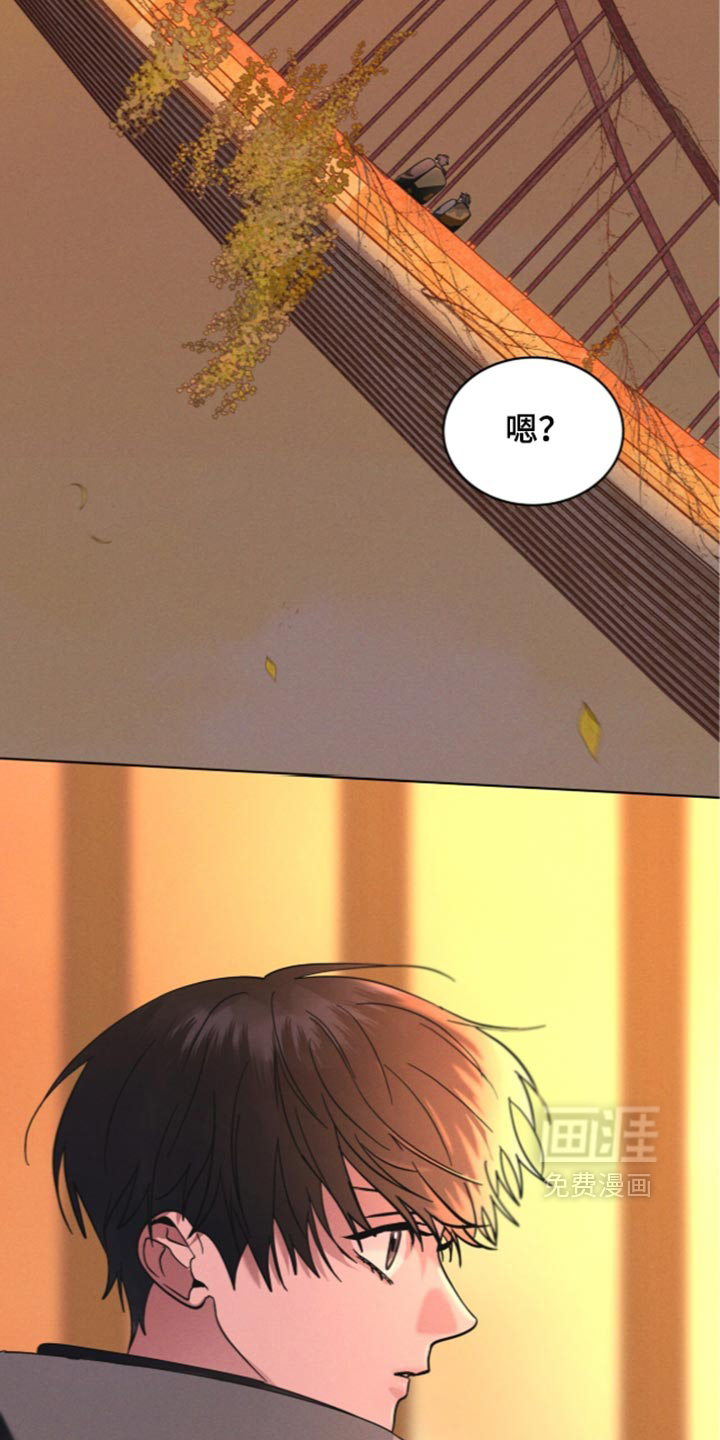 第205话1