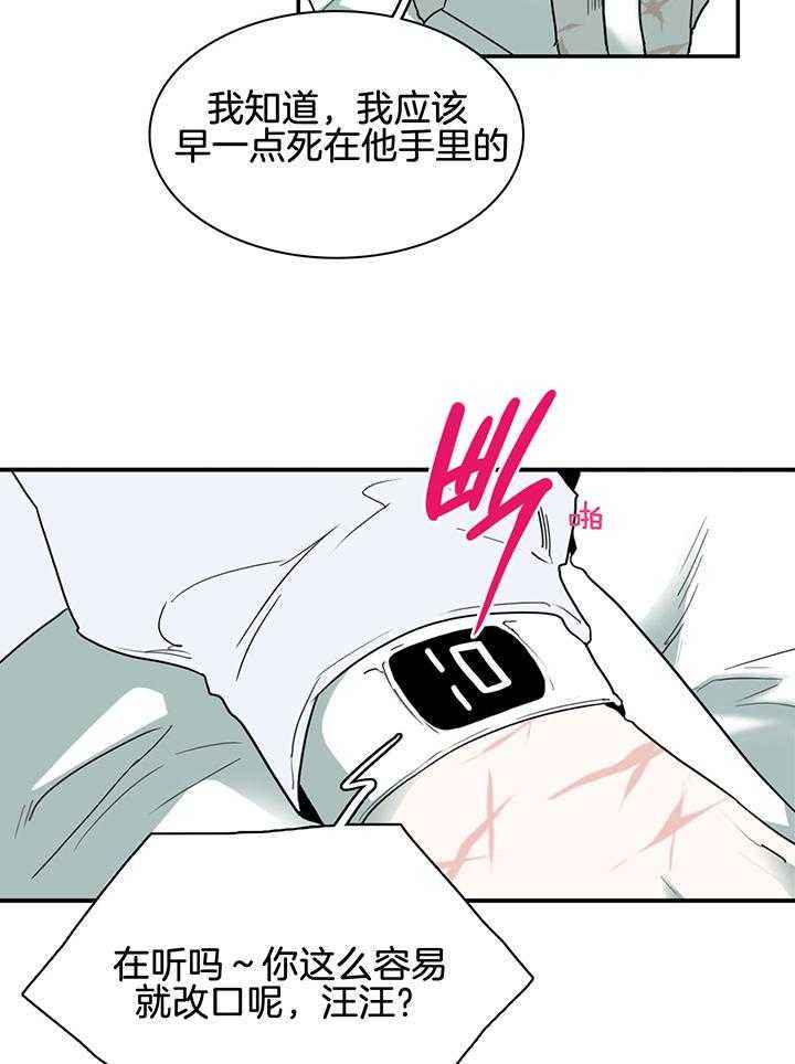 第240话12