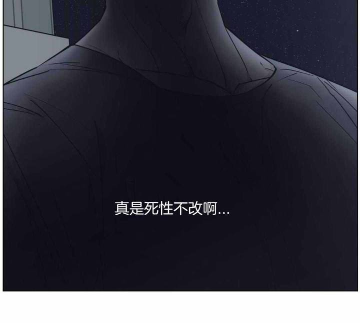 第41话14