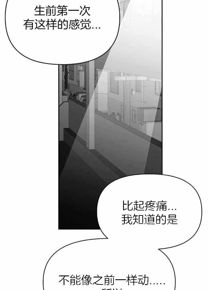 第150话31