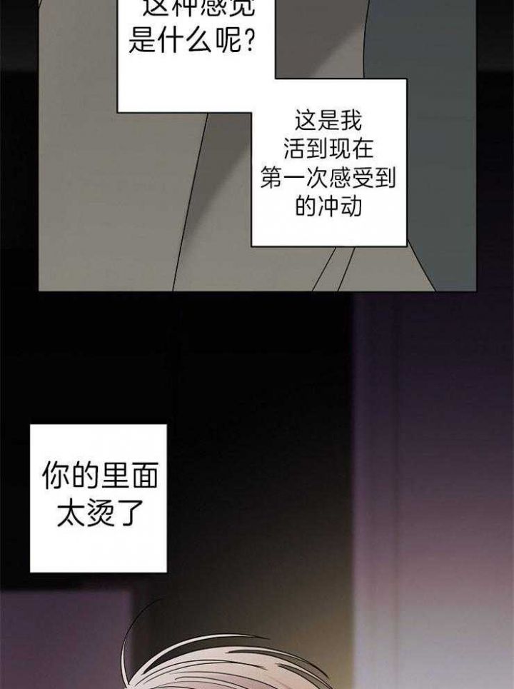 第41话4