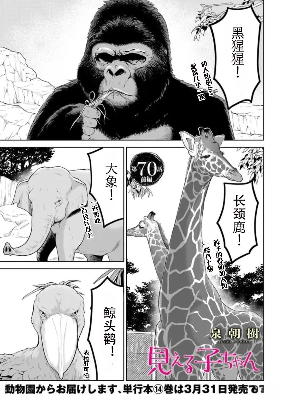 连载70话前篇0