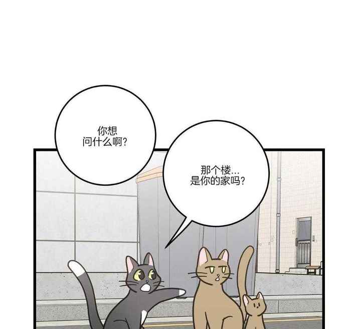 第33话32