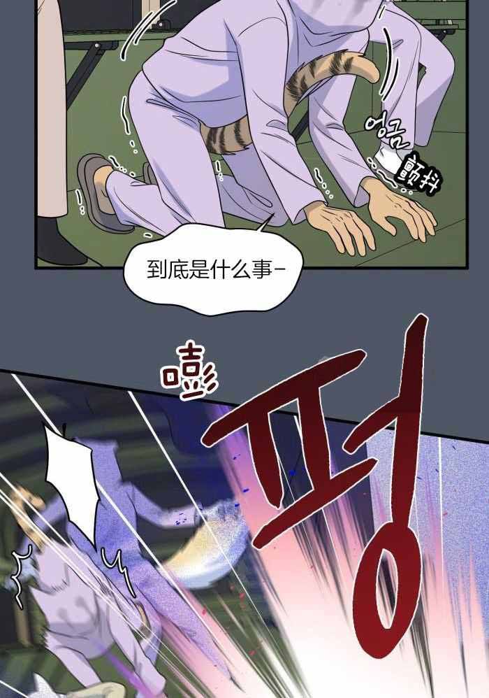 第86话31