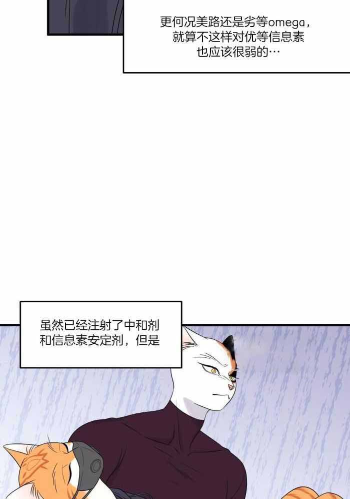 第68话12