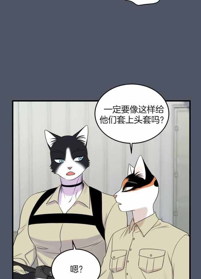 第85话4