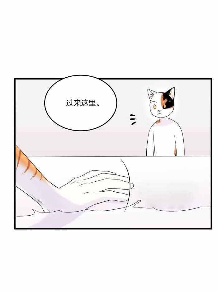 第76话12