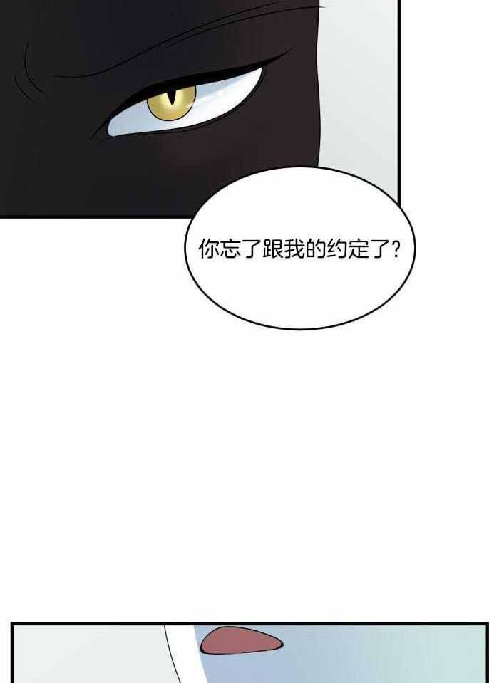 第63话19