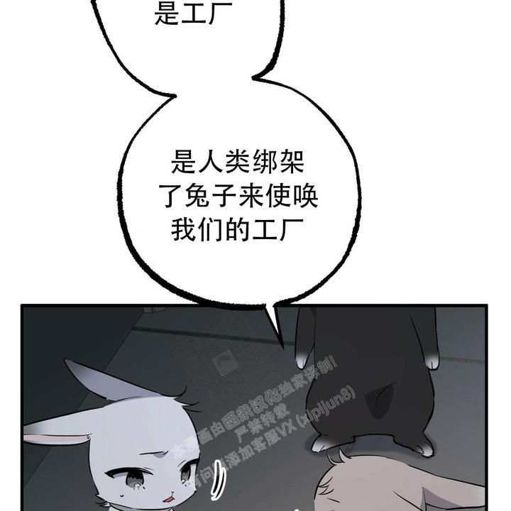 第110话32