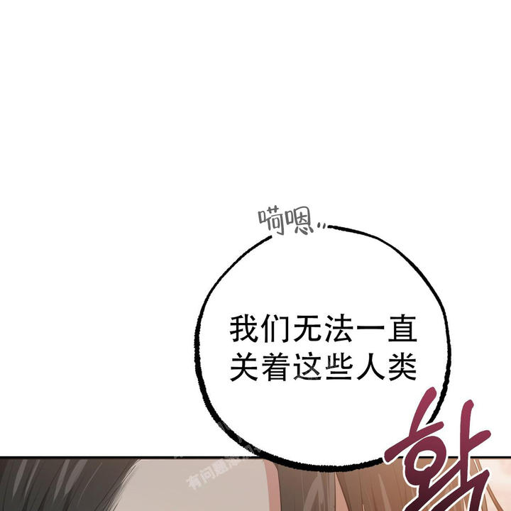 第116话82