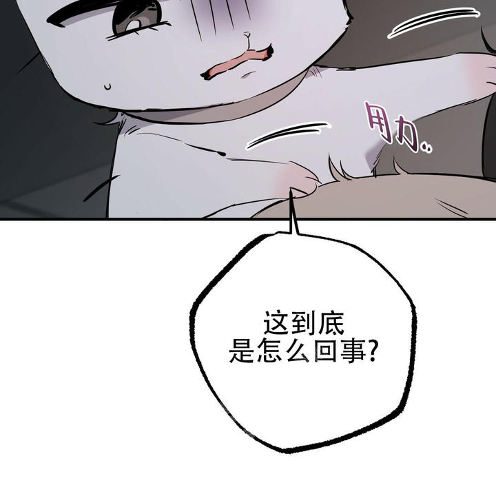 第110话21