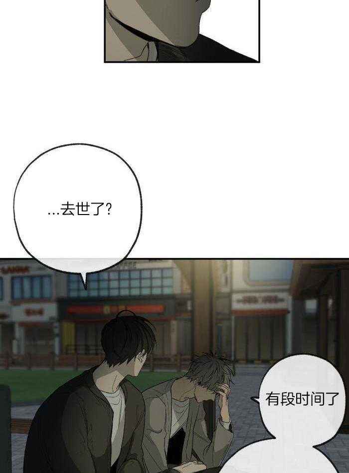 第215话11