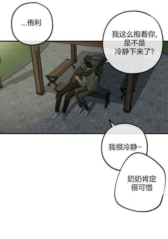 第216话12