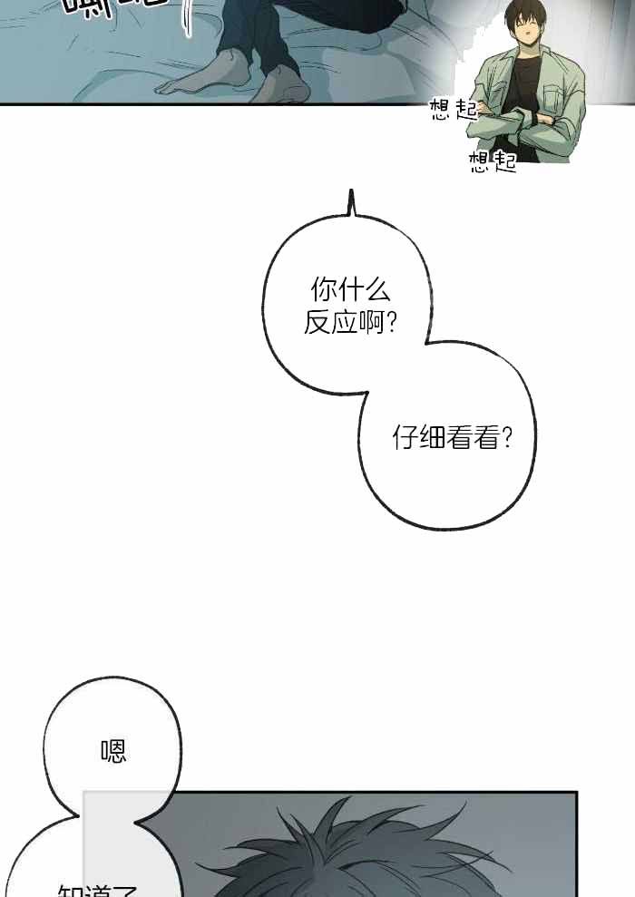 第221话26