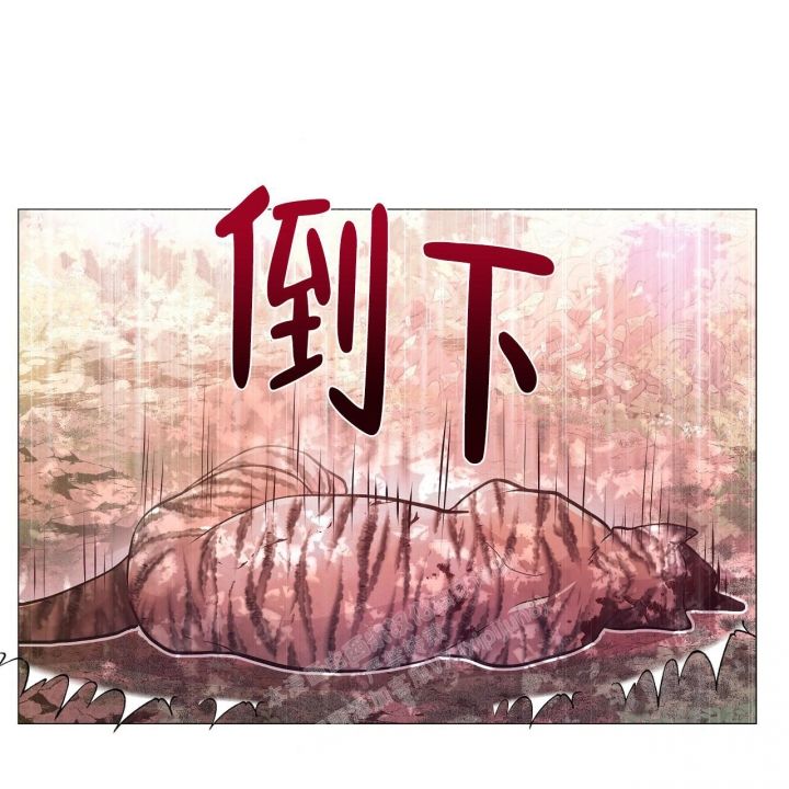 第33话56