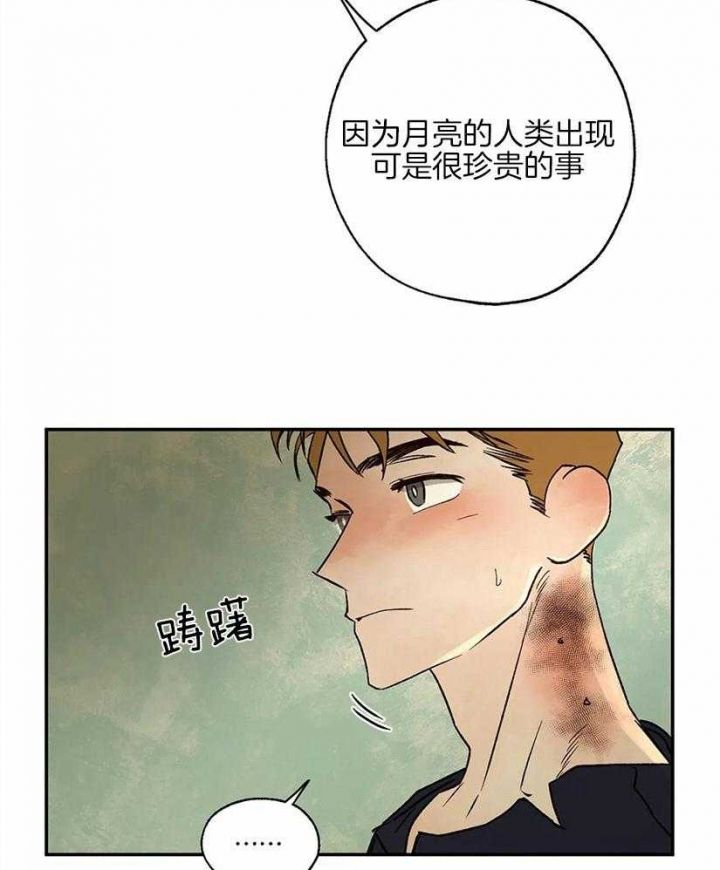 第53话24