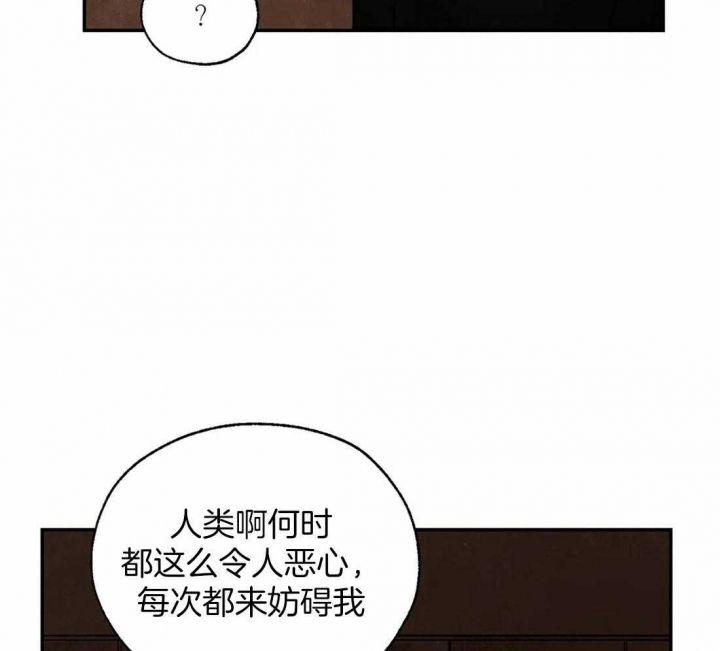 第36话37