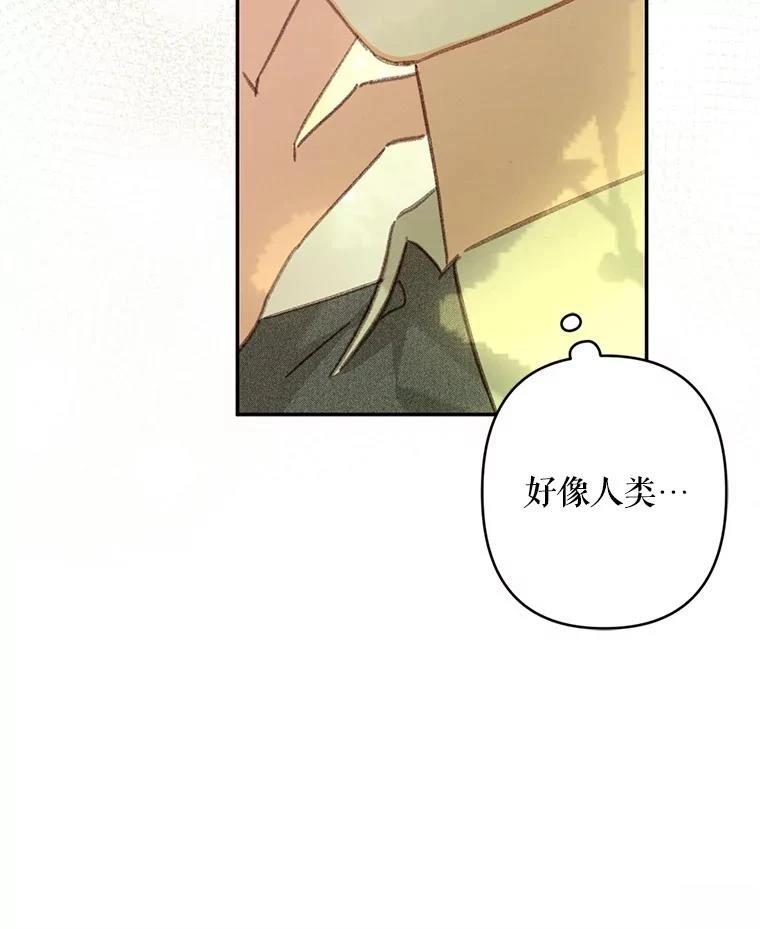 第31话66