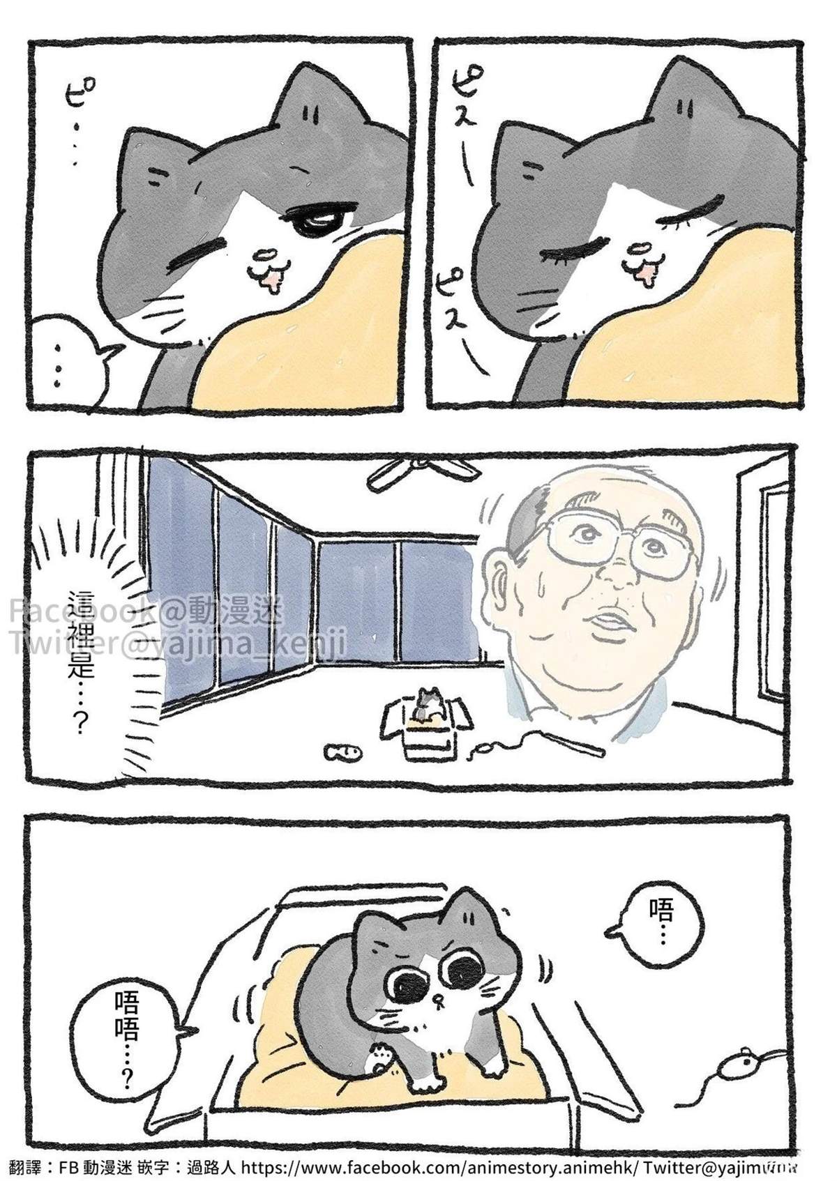 第11-20话8