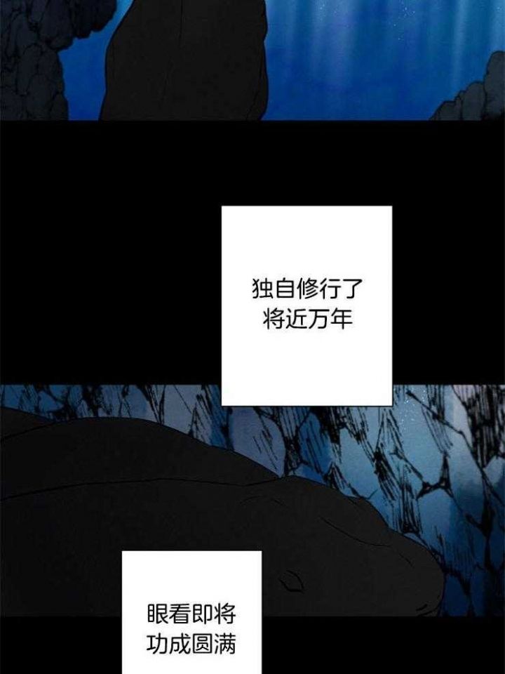 第54话5