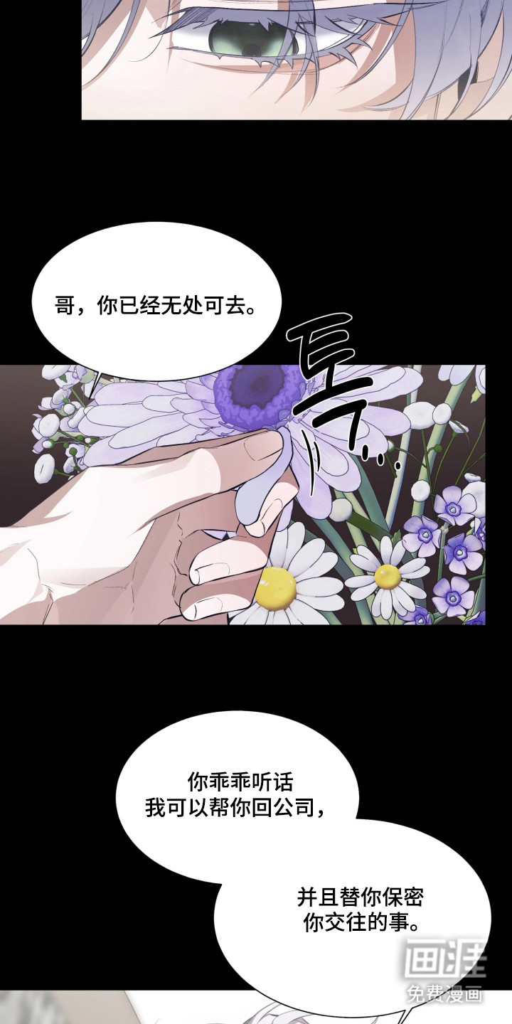 第11话8