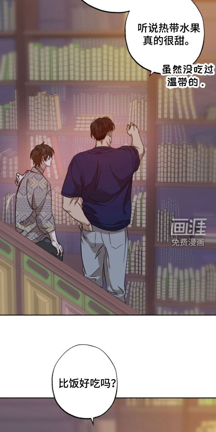第24话24