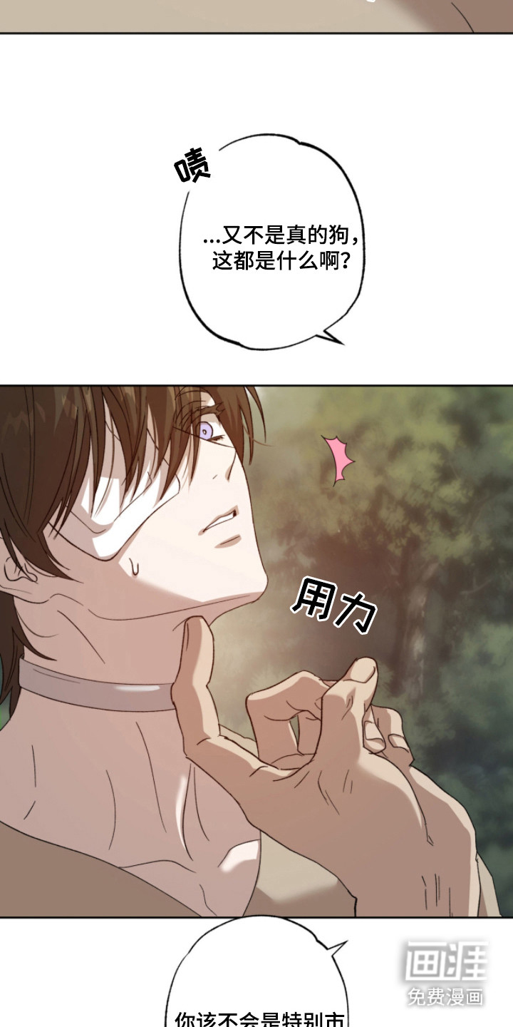 第5话8