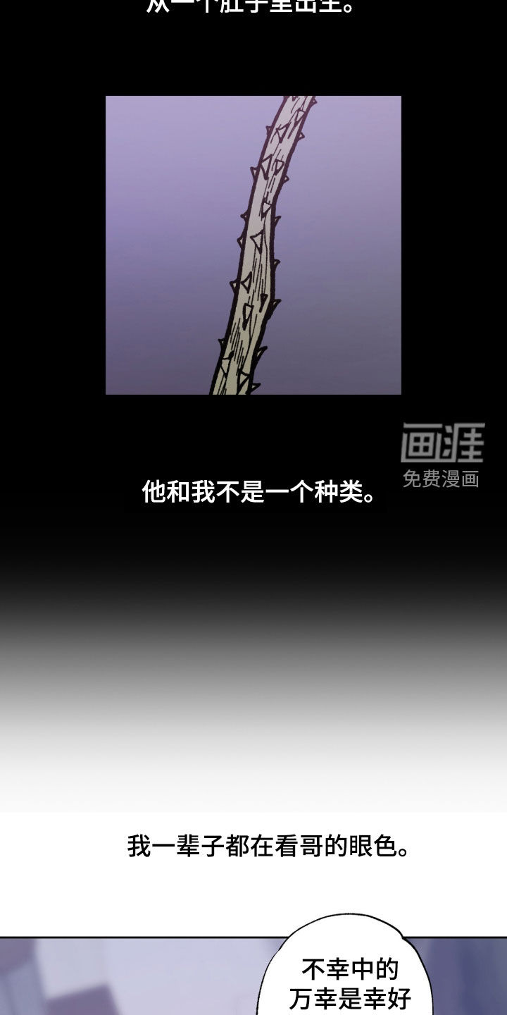 第42话11