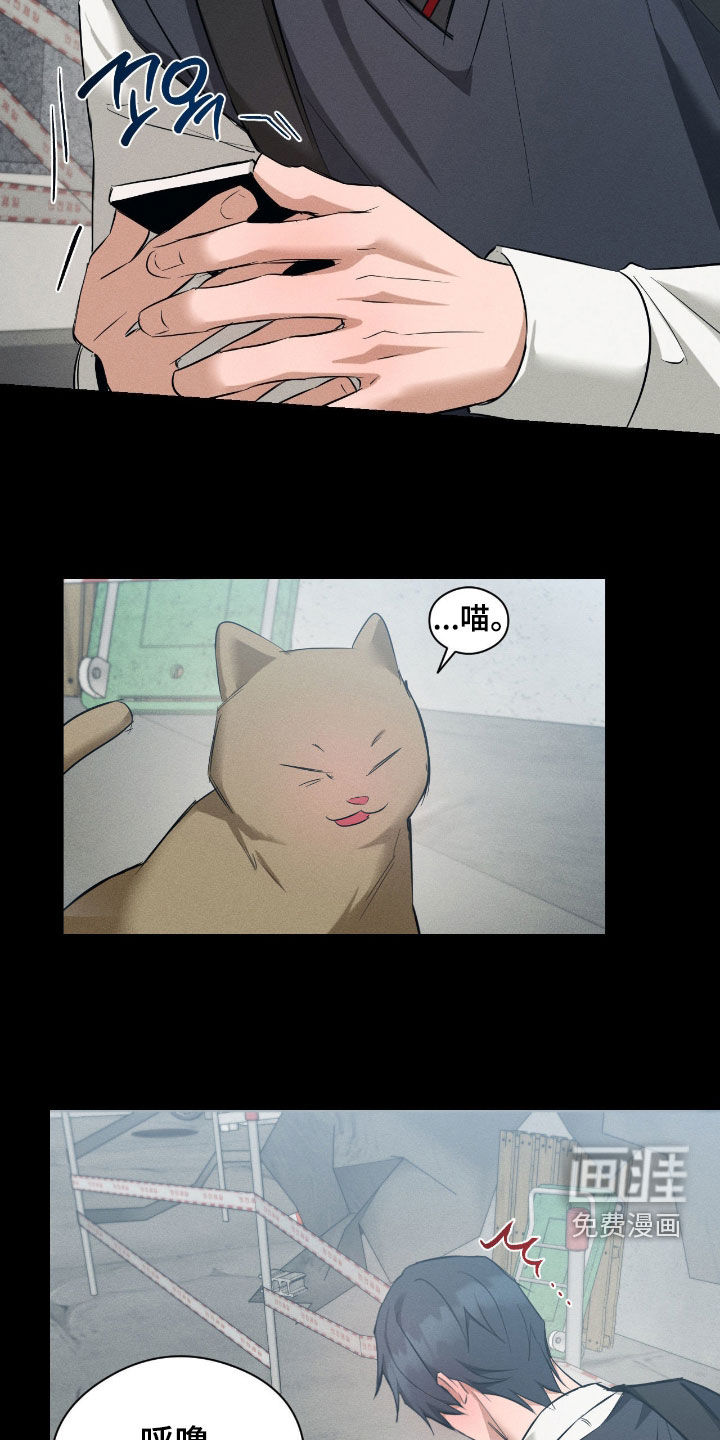 第44话15