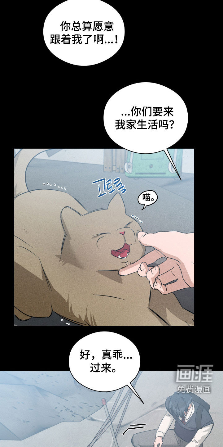 第44话17