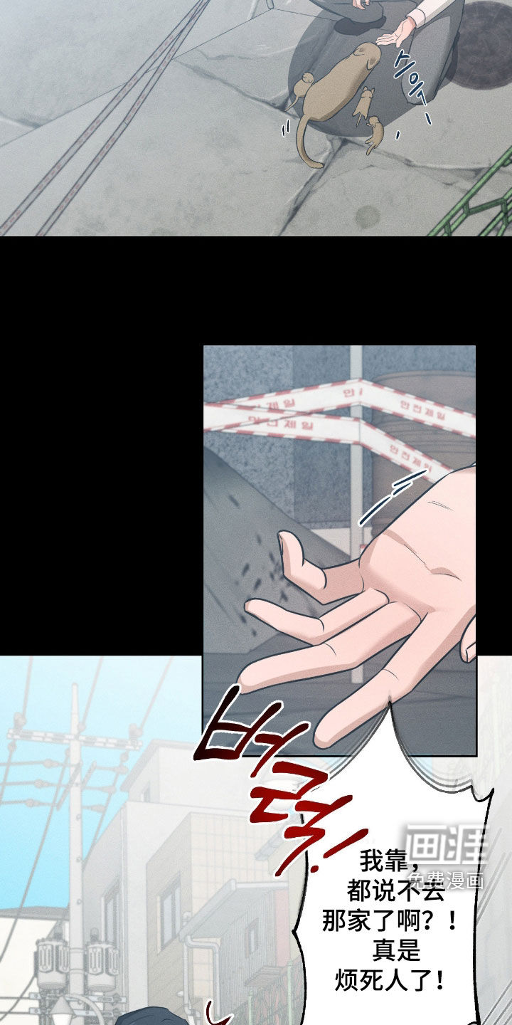 第44话18