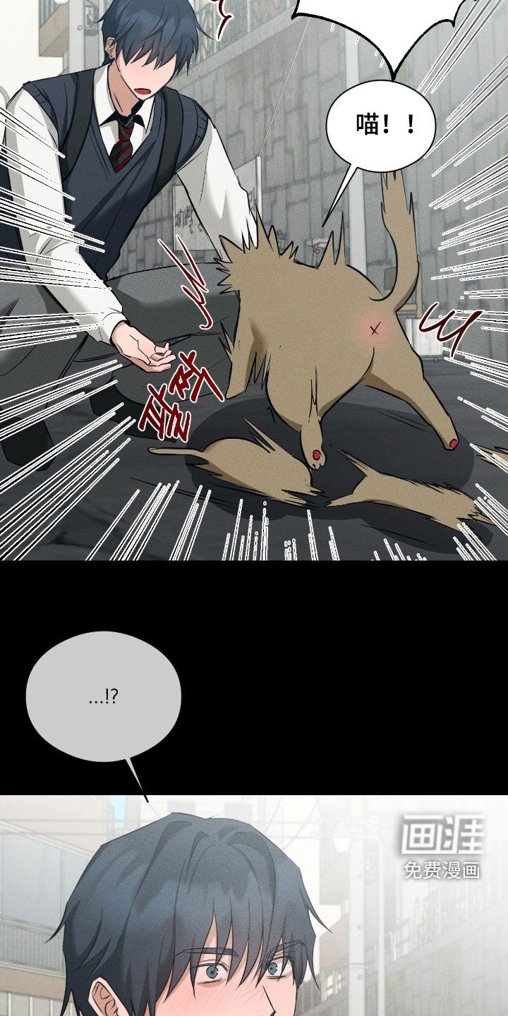 第44话19