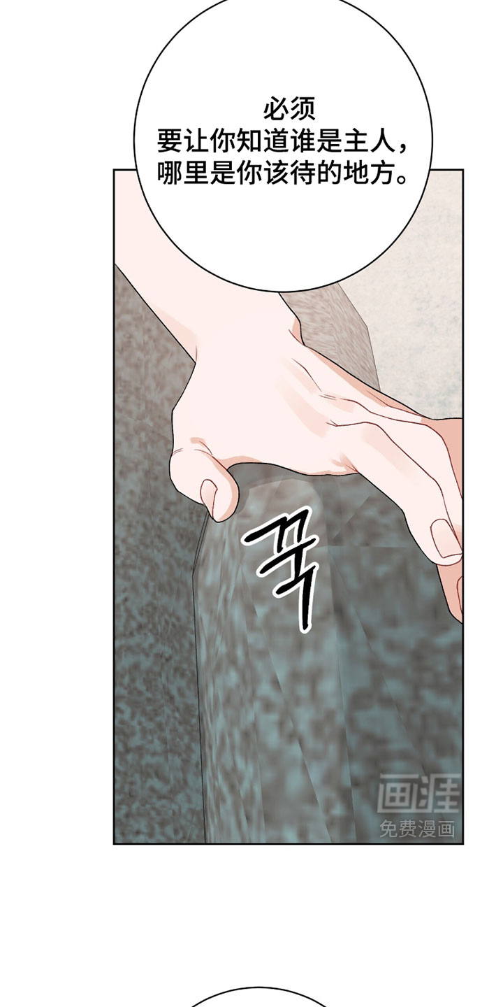 第29话8
