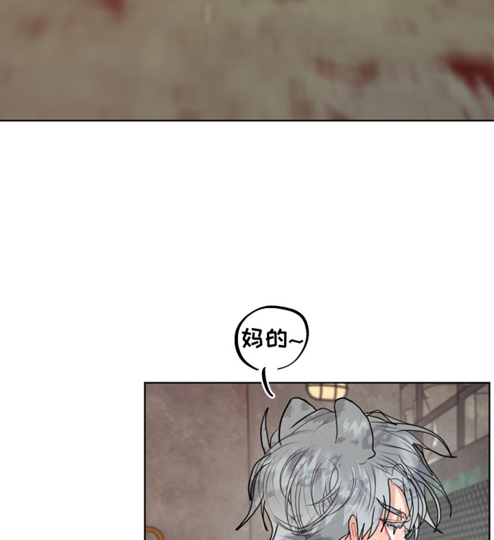 第27话17