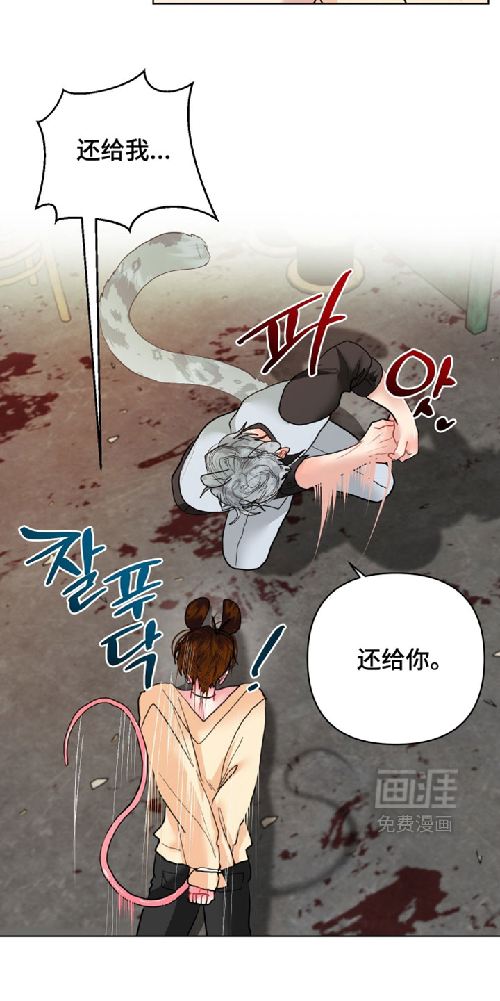 第27话24