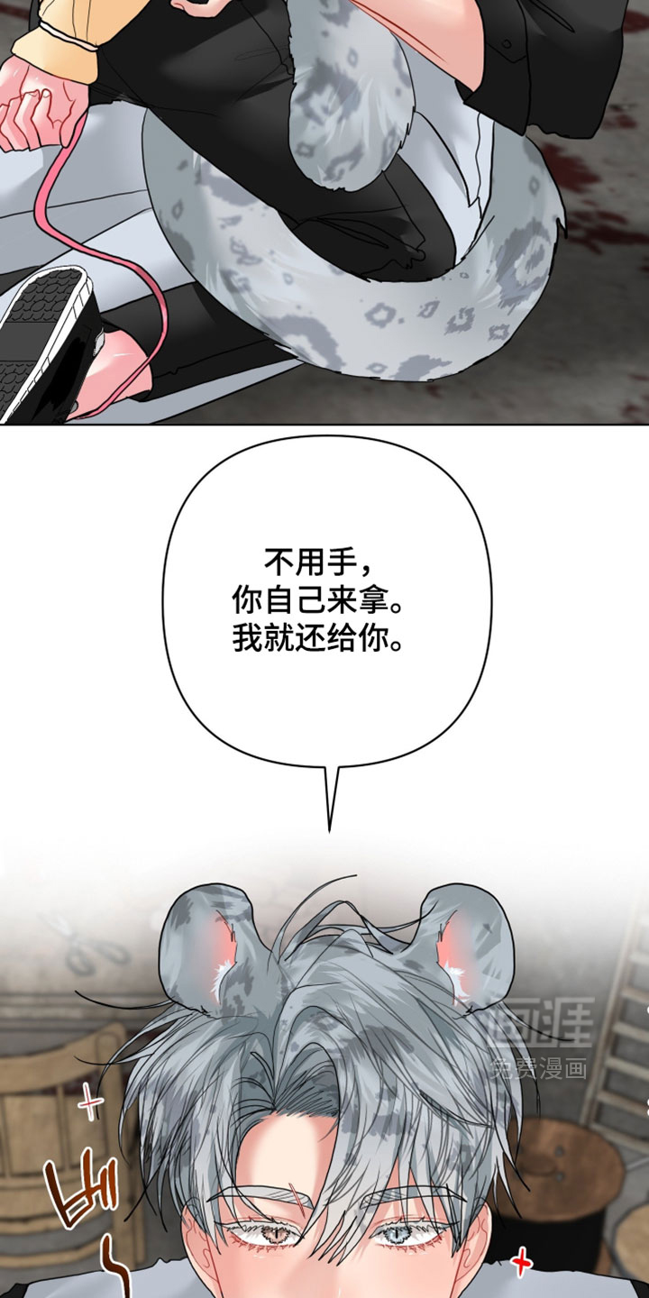 第27话28