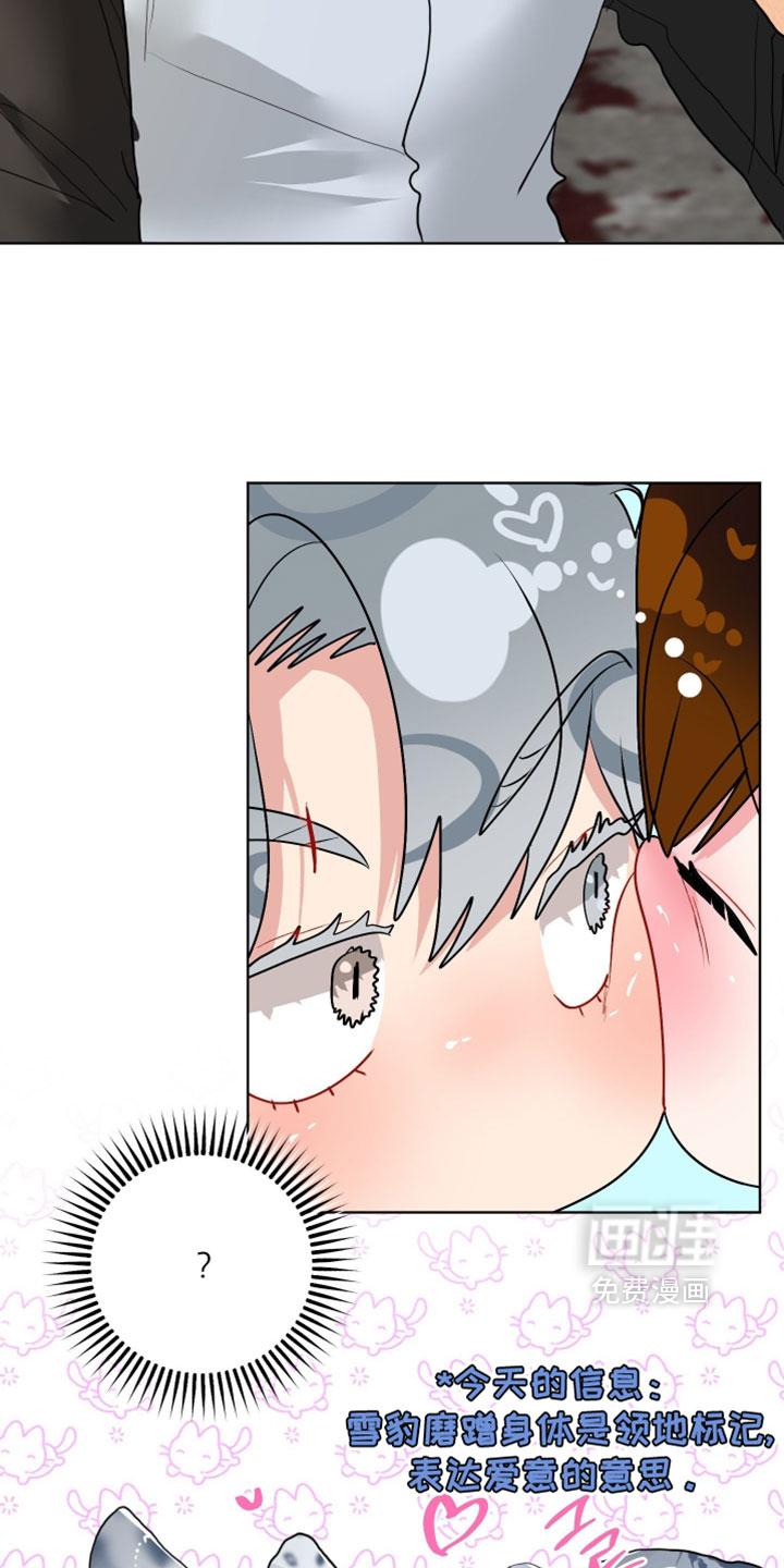 第27话33