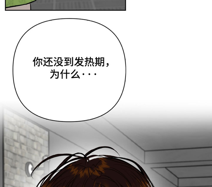 第26话17