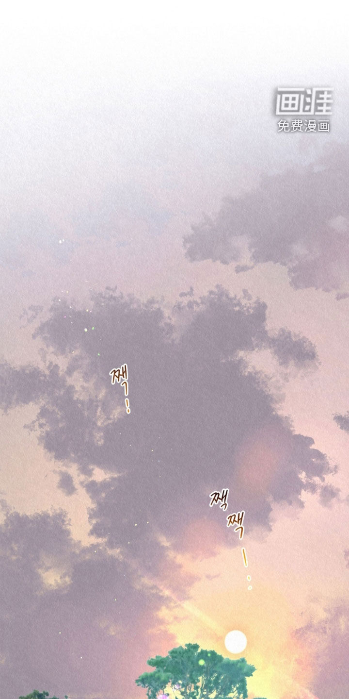 第49话0