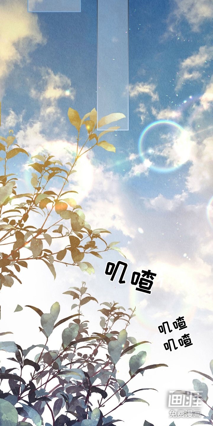 第11话9