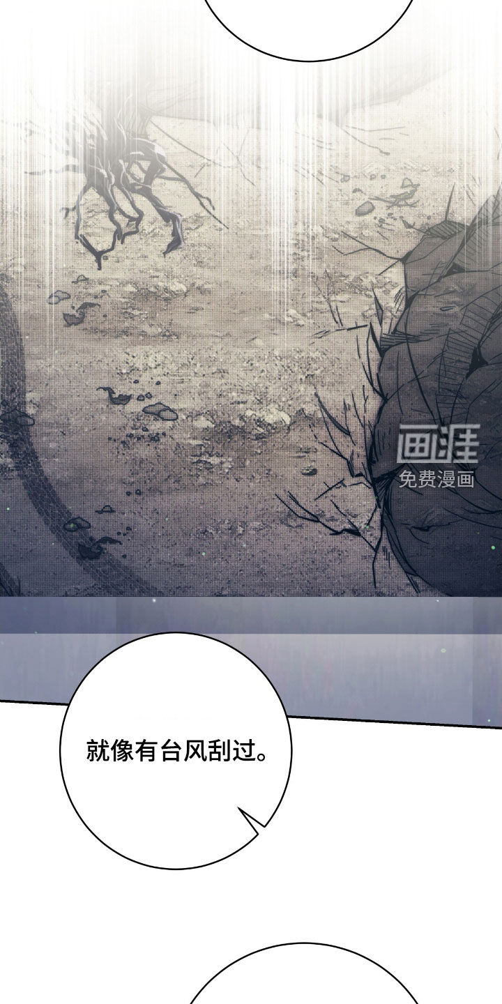 第33话31