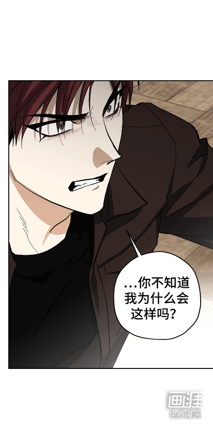 第13话9